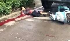 绍兴长乐车祸最新爆料,事故原因揭秘，伤亡情况公布